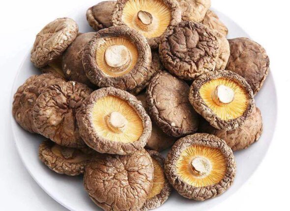 Dried-Shitake-Mushroom