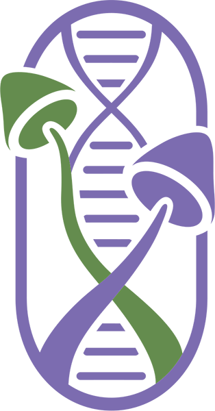 bohemyco-logo