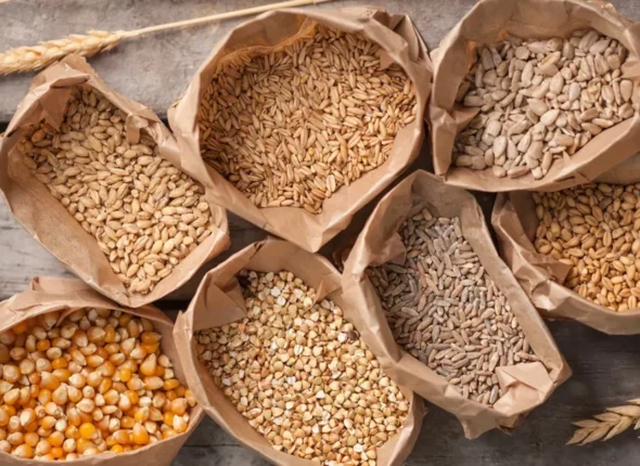 grains-oats-maize-Beta-Glucan-fiber-1296x728-header